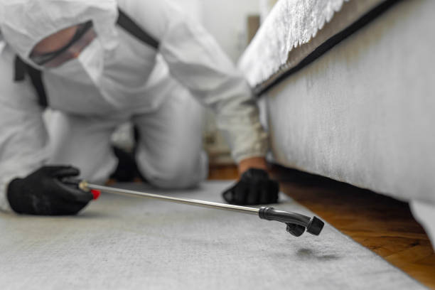 Professional Pest Control technician working in Tickfaw, LA