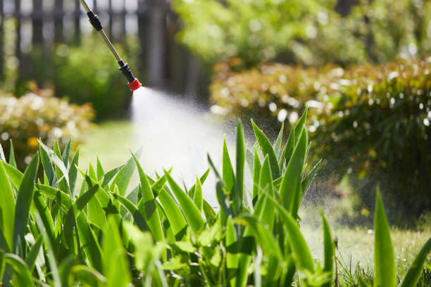 24/7 Emergency Pest Control experts in Tickfaw, LA